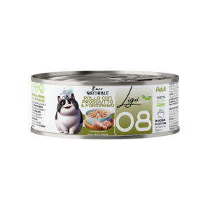 Pollo con prosciutto e formaggio