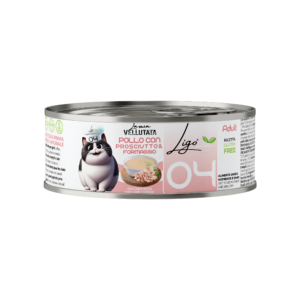 Pollo con prosciutto & formaggio